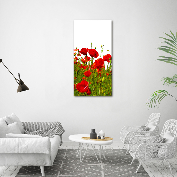 Printed glass wall art Mak field