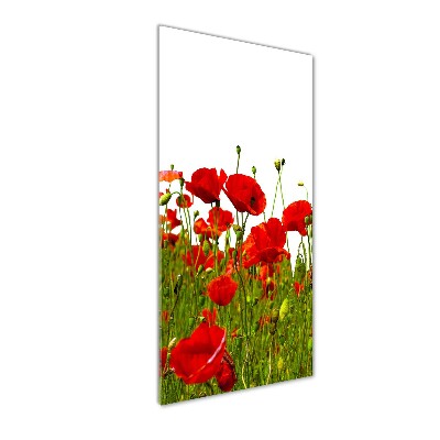 Printed glass wall art Mak field