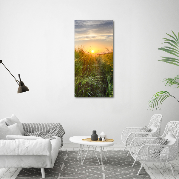 Wall art on glass Wheat field