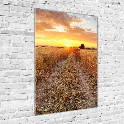 Print on a a glass Wheat field