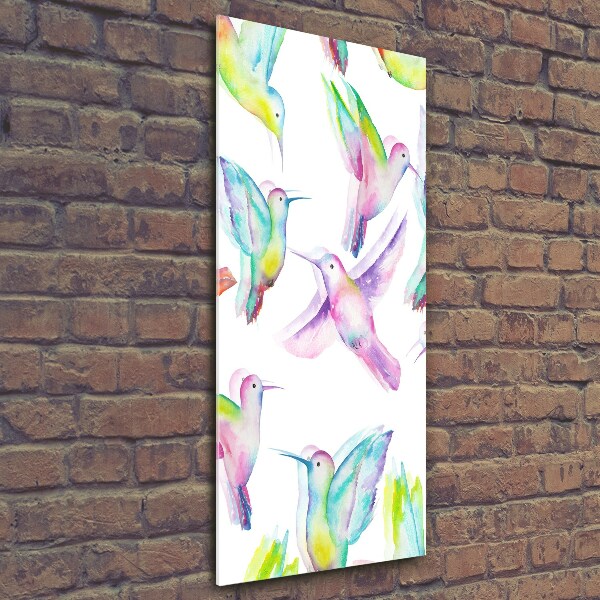 Glass picture wall art Colorful hummingbirds