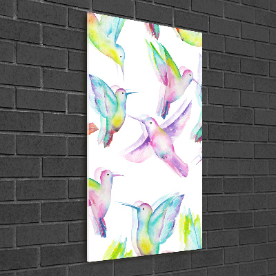 Glass picture wall art Colorful hummingbirds