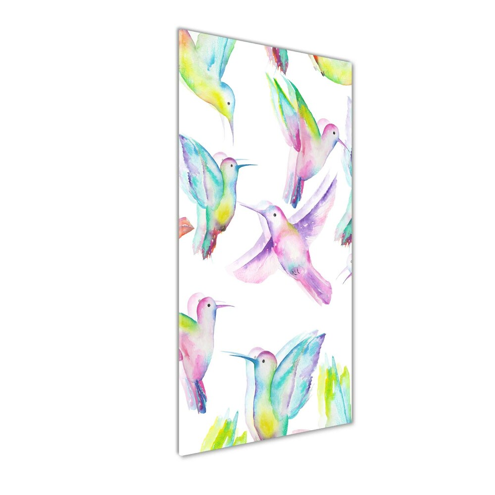 Glass picture wall art Colorful hummingbirds