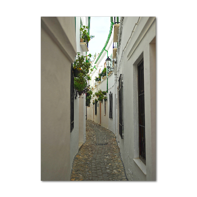 Glass wall art Andalusia streets