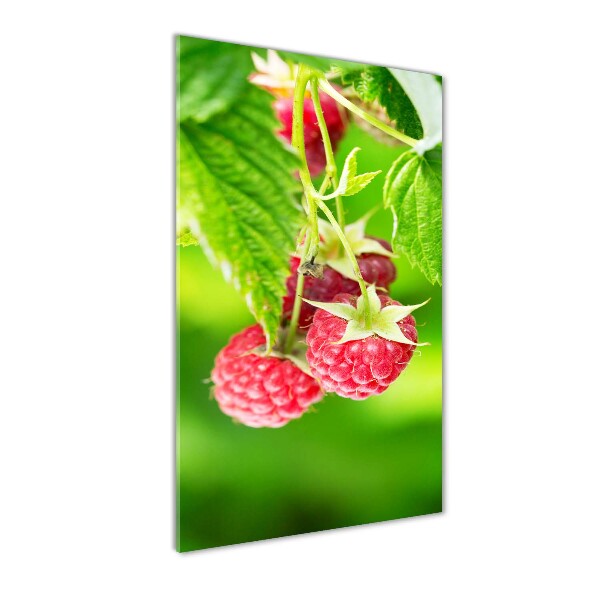 Photo printed on glass Raspberries on the bush