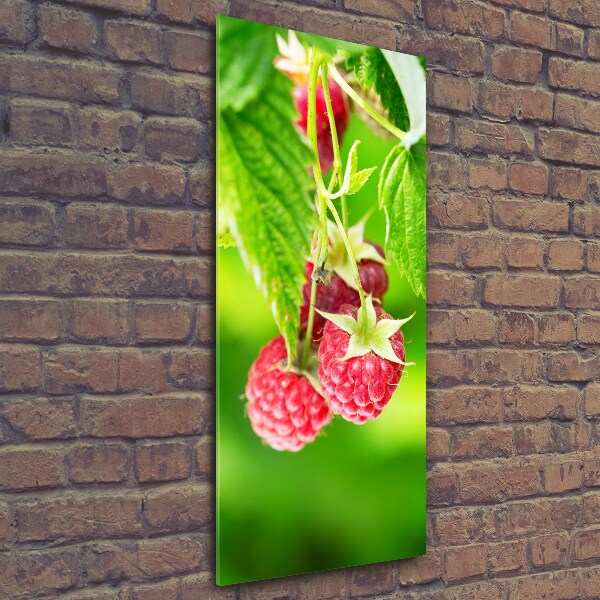 Photo printed on glass Raspberries on the bush