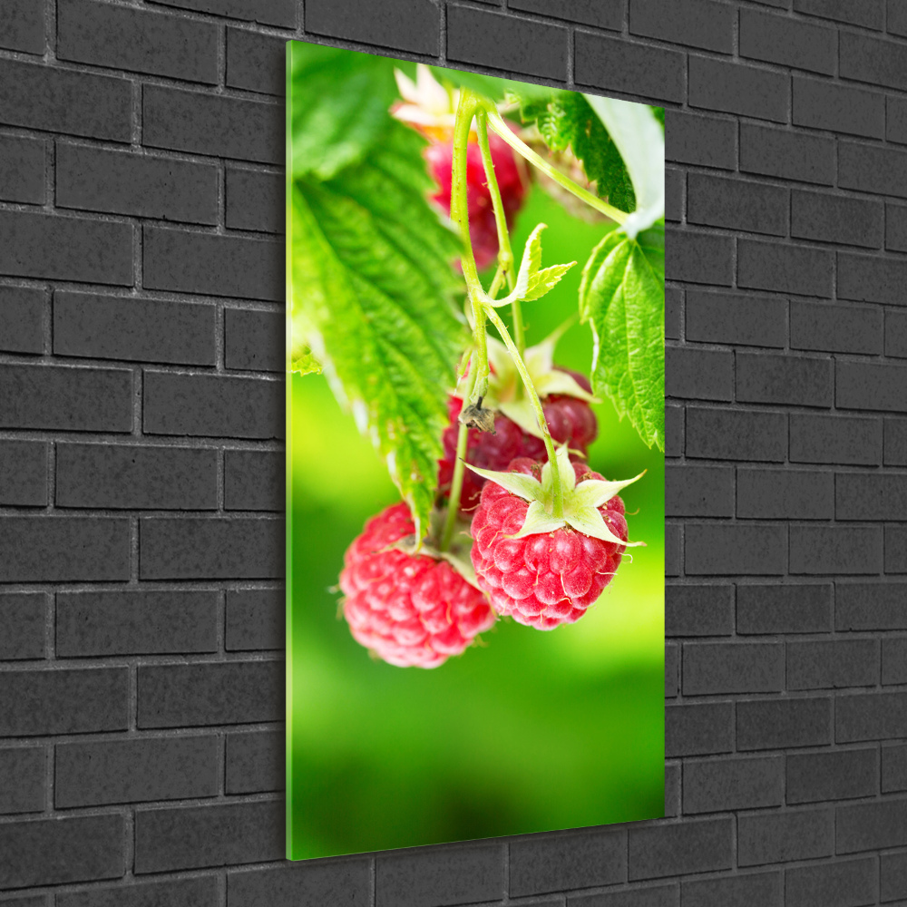 Photo printed on glass Raspberries on the bush