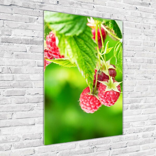 Photo printed on glass Raspberries on the bush