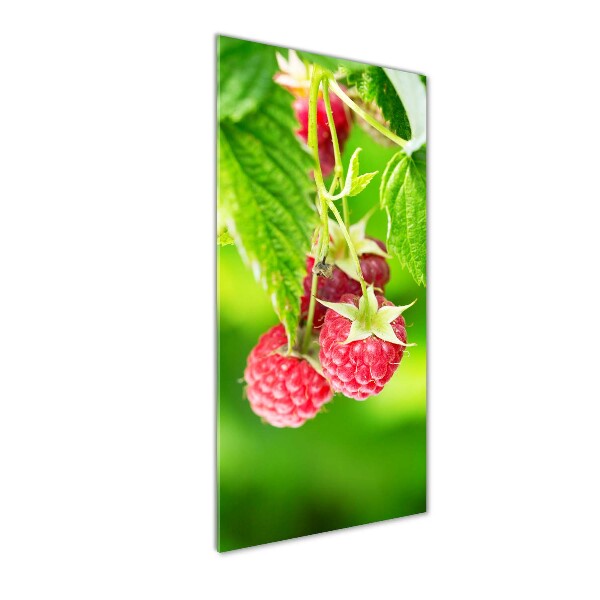 Photo printed on glass Raspberries on the bush