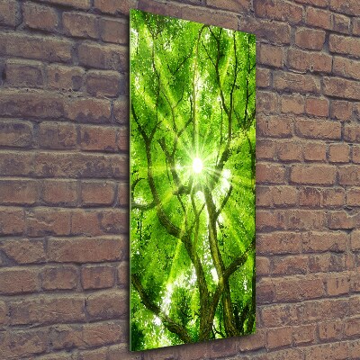 Photo printed on glass Crown of trees