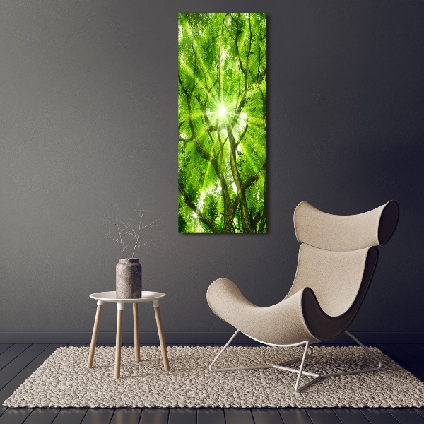 Photo printed on glass Crown of trees