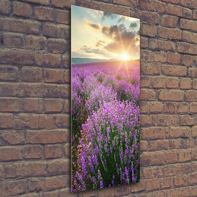 Wall art on glass Lavender field