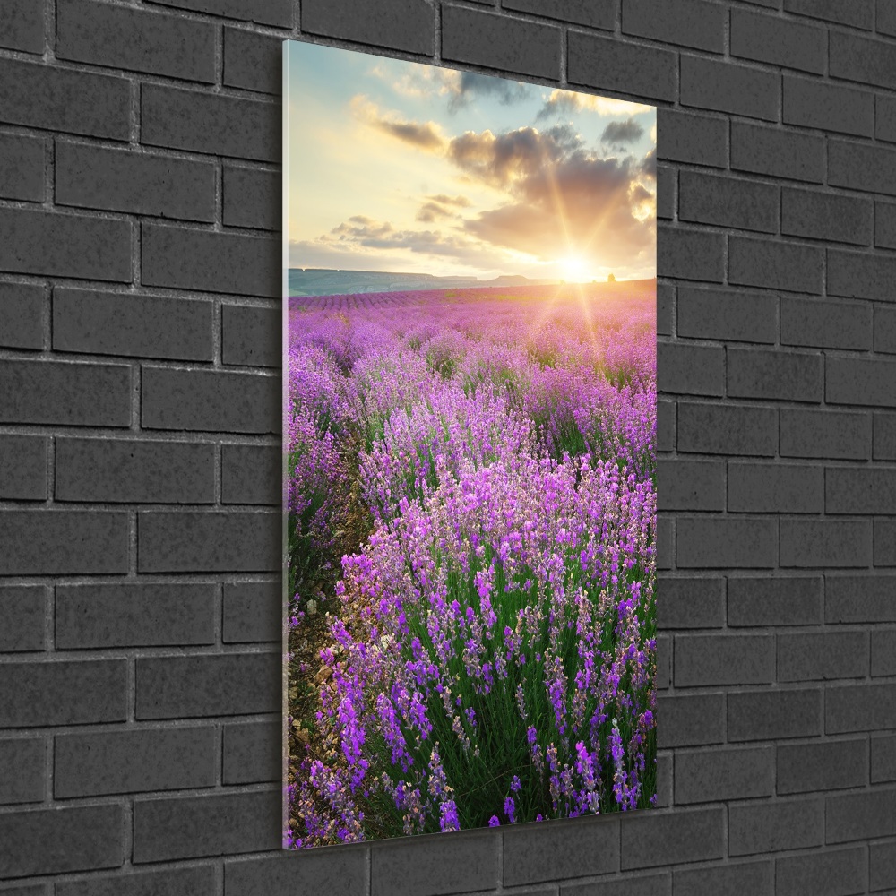 Wall art on glass Lavender field