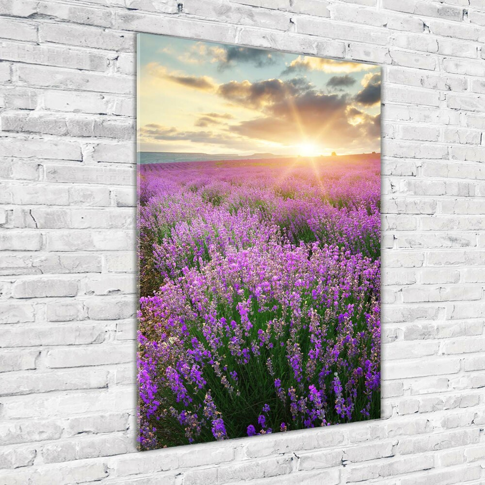 Wall art on glass Lavender field