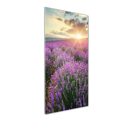 Wall art on glass Lavender field