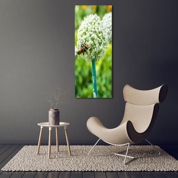 Photo printed on glass Garlic flowers