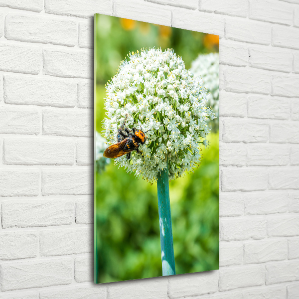 Photo printed on glass Garlic flowers