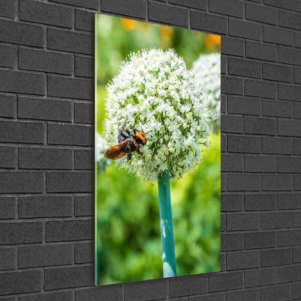 Photo printed on glass Garlic flowers