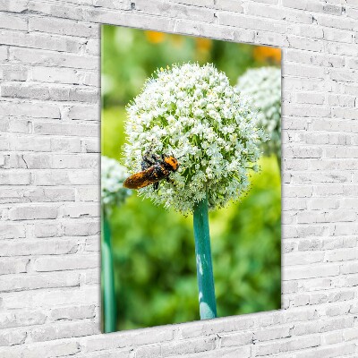 Photo printed on glass Garlic flowers