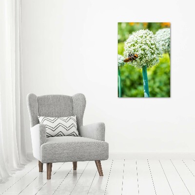 Photo printed on glass Garlic flowers