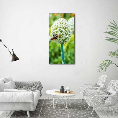 Photo printed on glass Garlic flowers