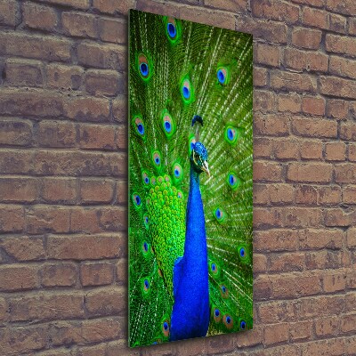 Glass wall art Peacock