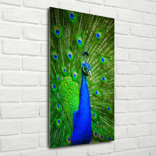 Glass wall art Peacock