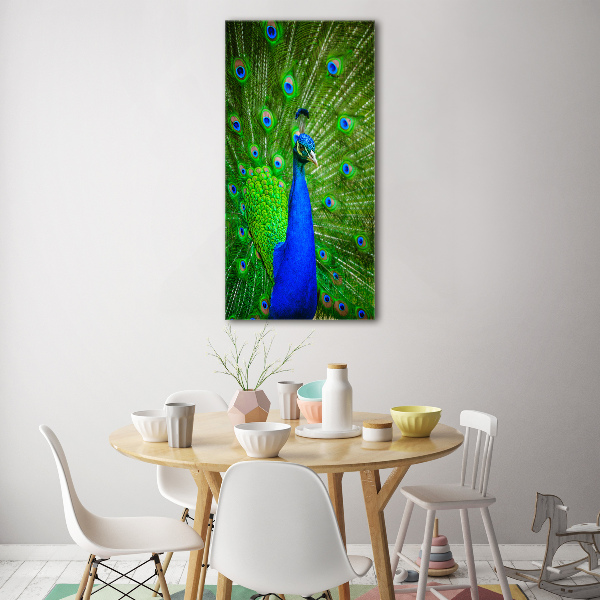 Glass wall art Peacock