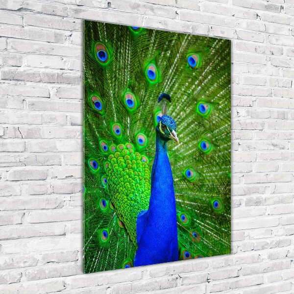 Glass wall art Peacock