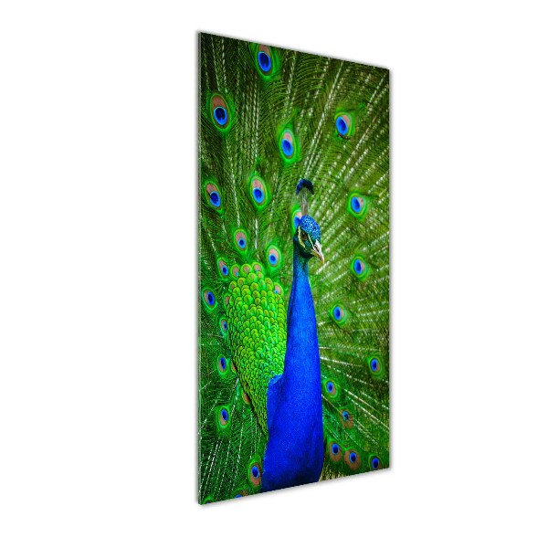 Glass wall art Peacock