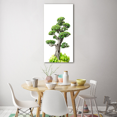 Photo printed on glass Bonsai tree