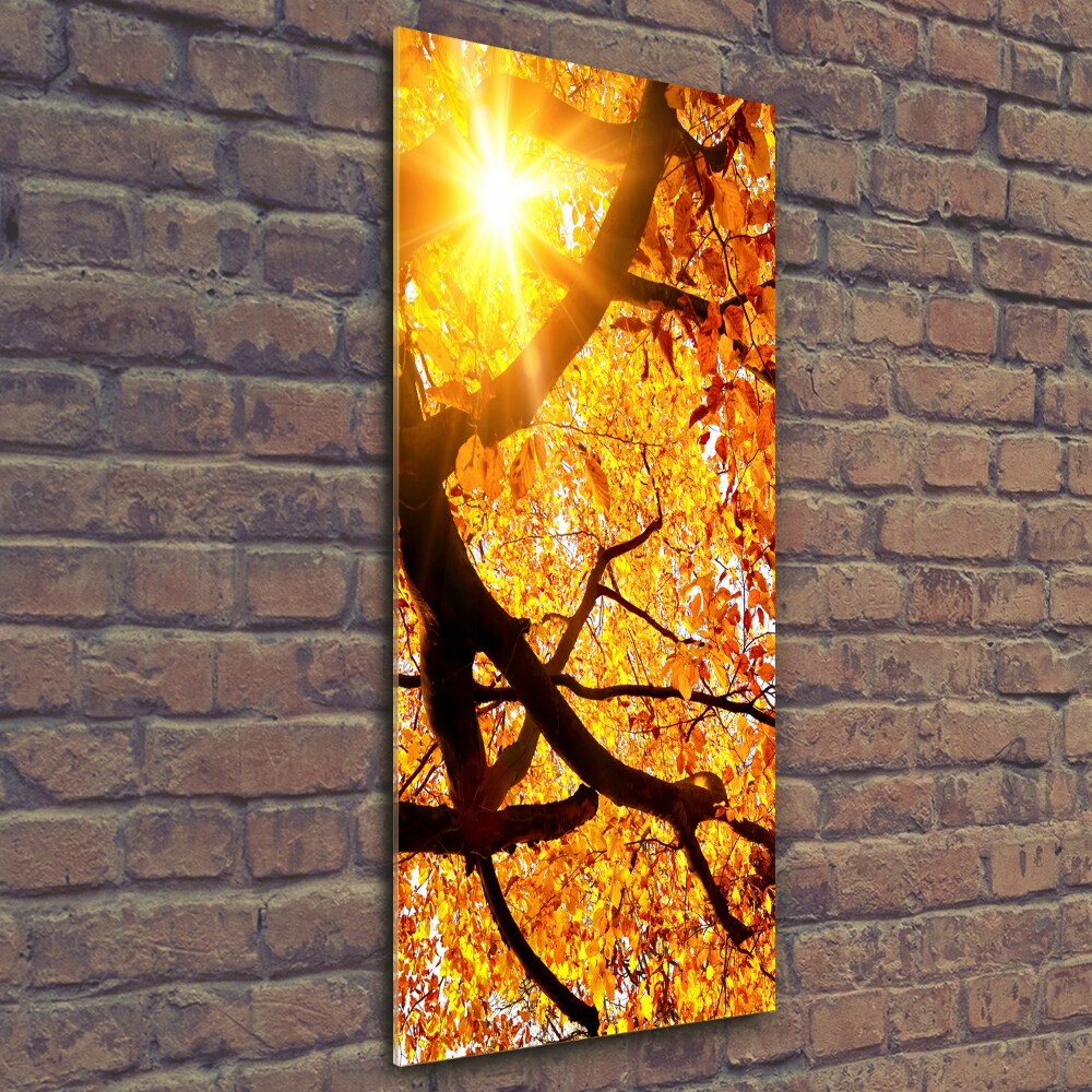 Glass wall art Autumn tree