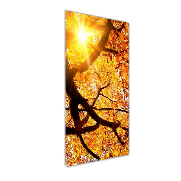 Glass wall art Autumn tree