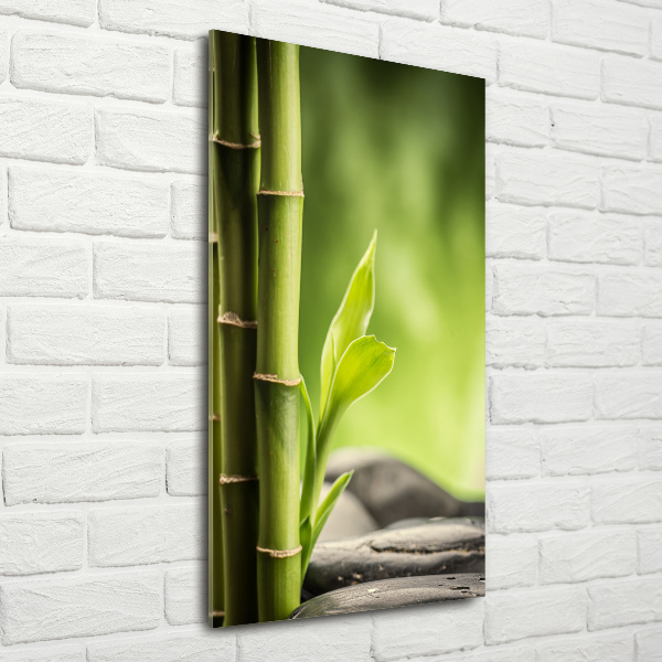 Photo printed on glass Bamboo