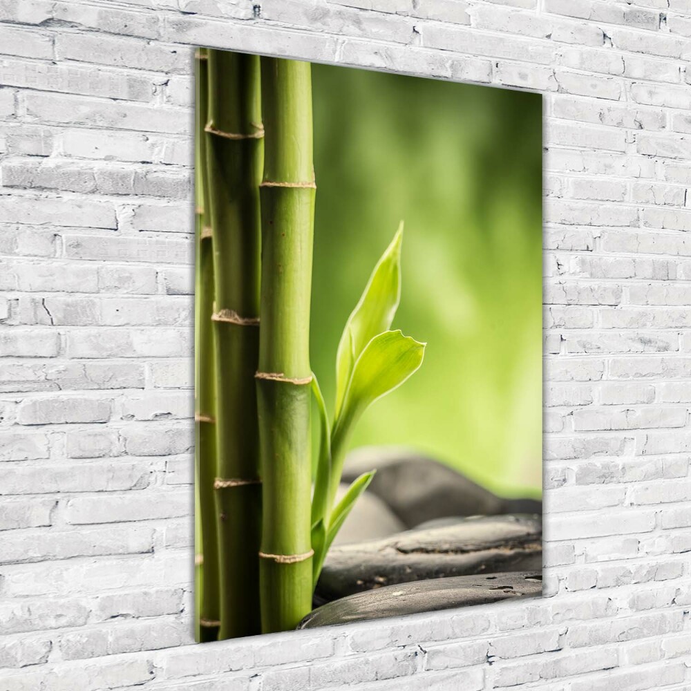 Photo printed on glass Bamboo