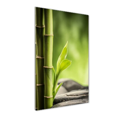 Photo printed on glass Bamboo