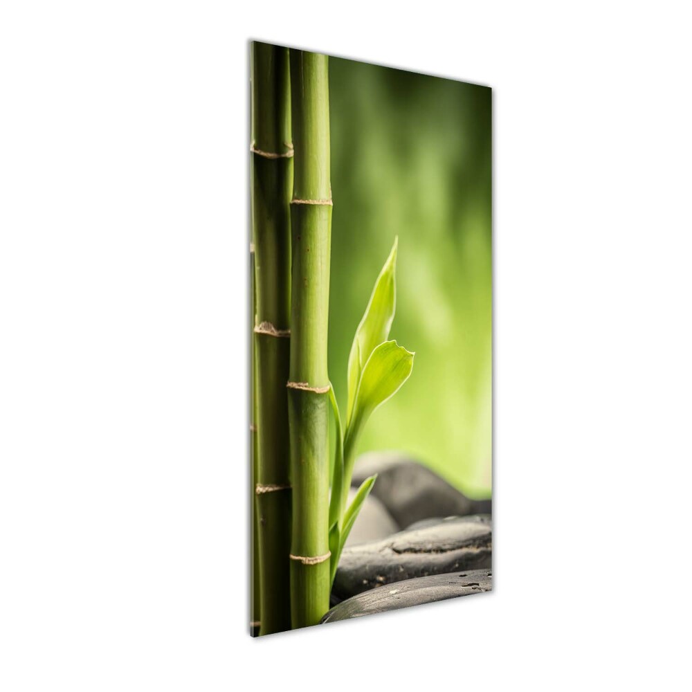 Photo printed on glass Bamboo