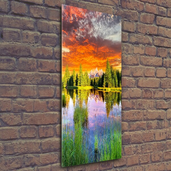 Wall art on glass Lake in the forest