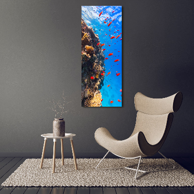 Wall art on glass Coral reef