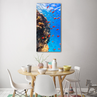 Wall art on glass Coral reef