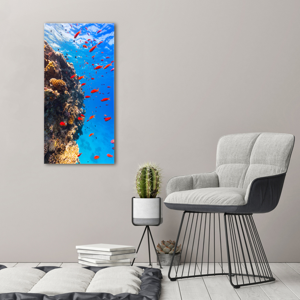 Wall art on glass Coral reef