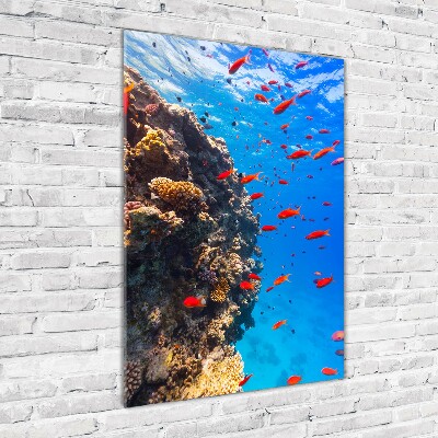 Wall art on glass Coral reef