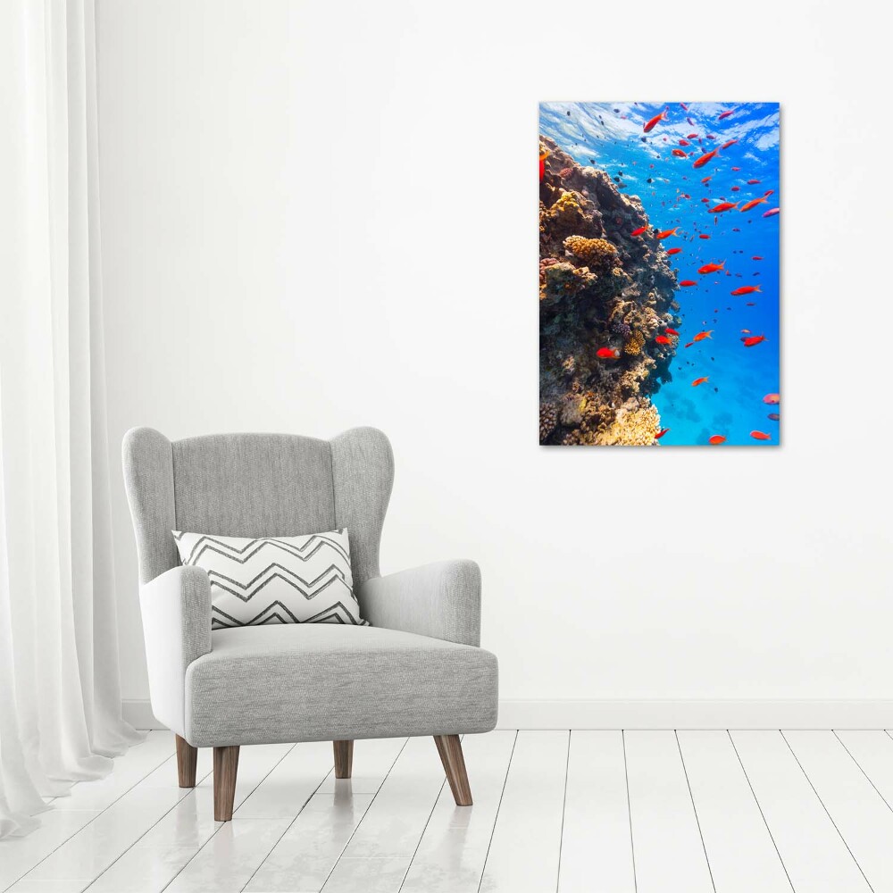 Wall art on glass Coral reef