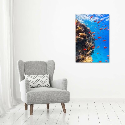 Wall art on glass Coral reef