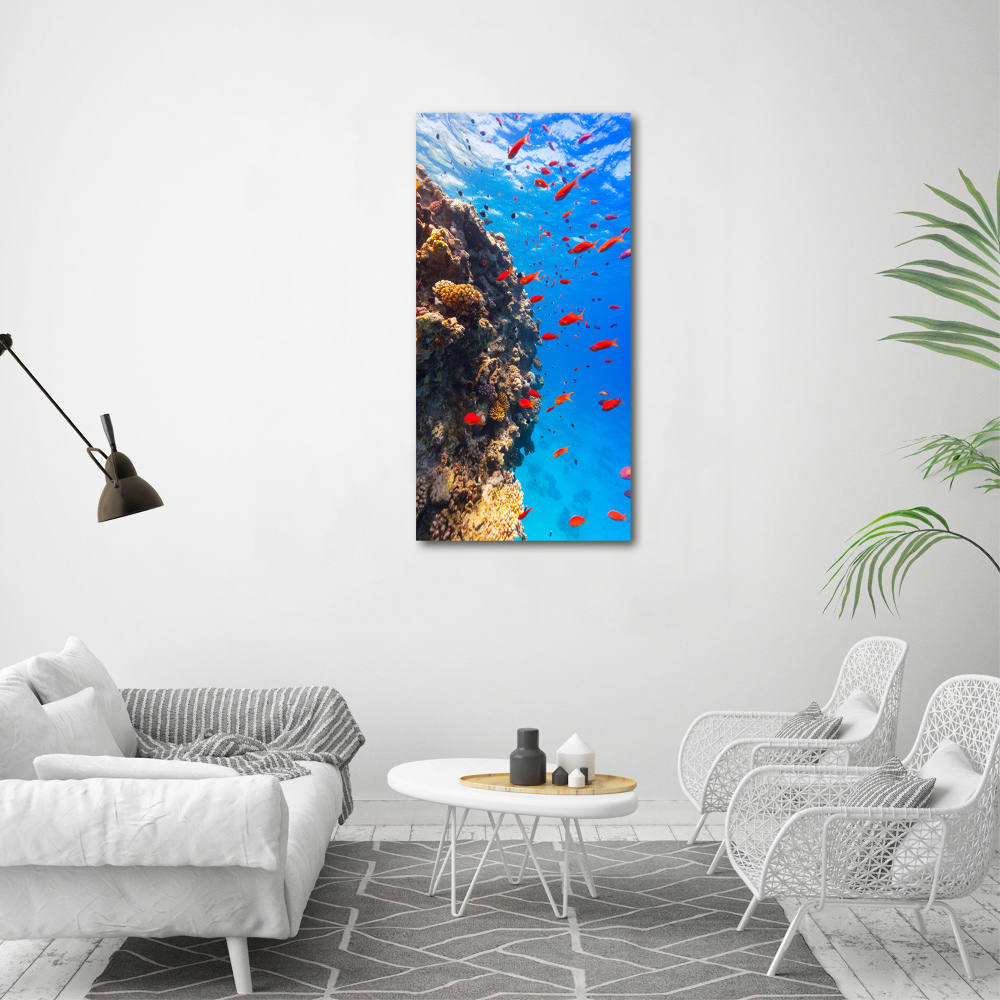 Wall art on glass Coral reef