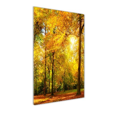 Wall art on glass Forest in autumn