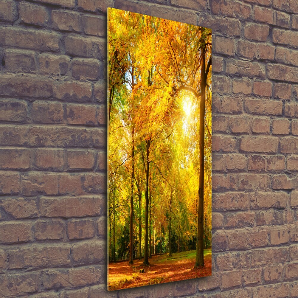 Wall art on glass Forest in autumn