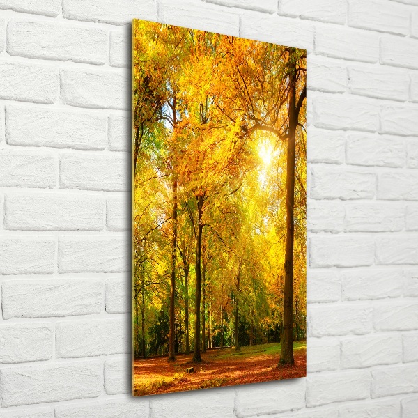 Wall art on glass Forest in autumn