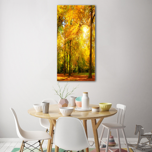 Wall art on glass Forest in autumn