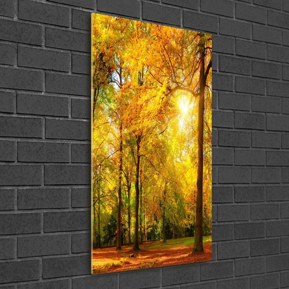 Wall art on glass Forest in autumn